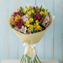 Букет цветов из:  Альстромерии #REPLACE_PRED# Заречье