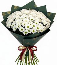 Букет цветов из:  Хризантемы #REPLACE_PRED# Заречье