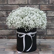 Цветочная композиция из Гипсофила в шляпной коробке в Заречье