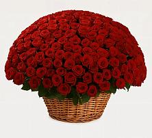 Премиум букет из: Розы в Заречье